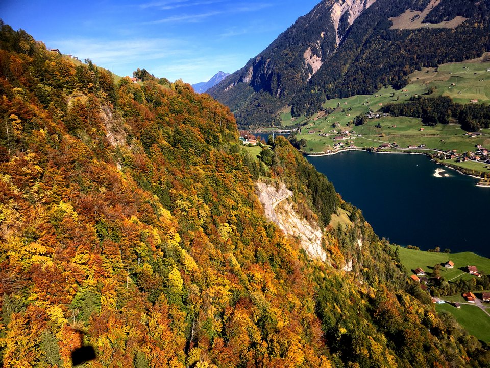 Mischwald in Herbstfarben